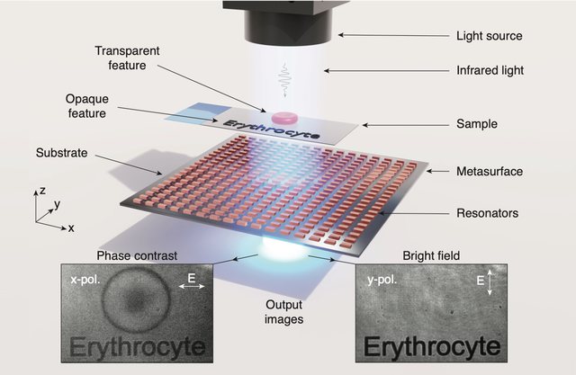 Metasurface-based infrared multimodal microscope resolving an erythrocyte in phase contrast and bright field, with electron micrographs of the resonator array
