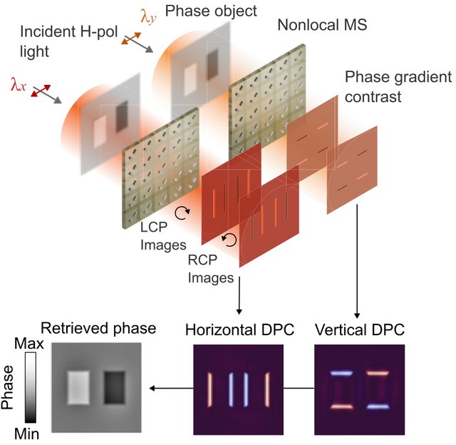 Wavelength and polarisation multiplexed nonlocal metasurface producing horizontal and vertical differential phase contrast images, combined to retrieve quantitative phase